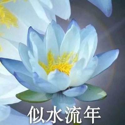 全民巨星2破解版下载